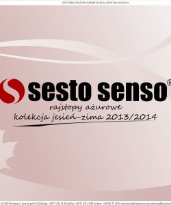FW 2014 Sesto Senso