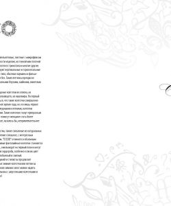 Burlesco - Catalog 2016