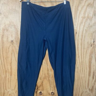 Terra & Sky Women's Blue Leggings Size 3X (24W-26W)