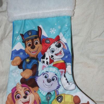 Paw Patrol w/5 Dogs on  17