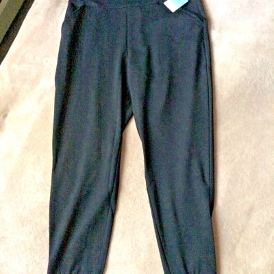 ASSETS by SPANX BBW 1X Very Black Ponte Shaping Jogger Leggings Style 20335R NWT