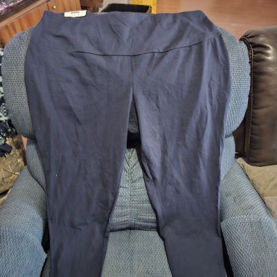 Terra & Sky blue leggings size 2xl nwt
